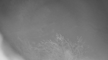 Červenohorské sedlo