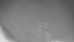 Panorama Jižní svahy, Hotel, Nástup 