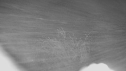 Panorama Jižní svahy, Hotel, Nástup 