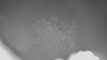 Červenohorské sedlo