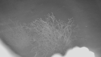 Červenohorské sedlo