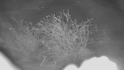 Panorama Jižní svahy, Hotel, Nástup 