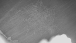 Panorama Jižní svahy, Hotel, Nástup 