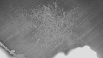 Červenohorské sedlo