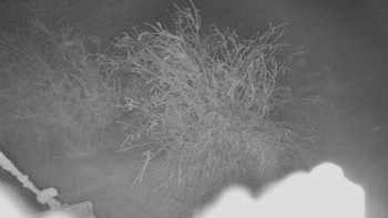 Červenohorské sedlo