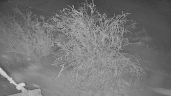 Červenohorské sedlo