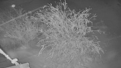 Panorama Jižní svahy, Hotel, Nástup 