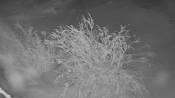 Červenohorské sedlo