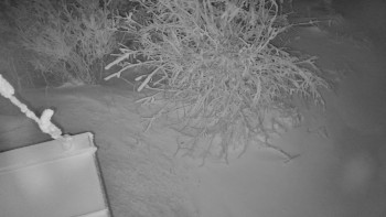 Červenohorské sedlo