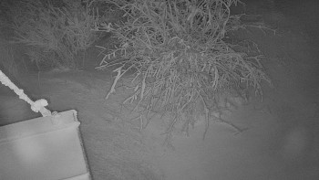 Červenohorské sedlo