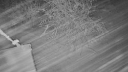 Panorama Jižní svahy, Hotel, Nástup 