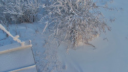 Panorama Jižní svahy, Hotel, Nástup 