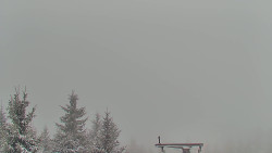 Panorama Jižní svahy, Hotel, Nástup