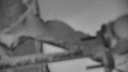 Panorama Jižní svahy, Hotel, Nástup