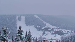 Panorama Jižní svahy, Hotel, Nástup 