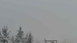 Panorama Jižní svahy, Hotel, Nástup 