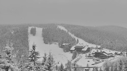 Panorama Jižní svahy, Hotel, Nástup 