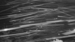 Panorama Jižní svahy, Hotel, Nástup 