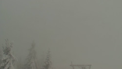 Panorama Jižní svahy, Hotel, Nástup 