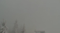 Panorama Jižní svahy, Hotel, Nástup 