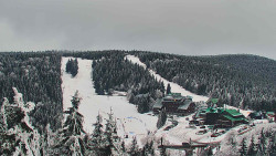 Panorama Jižní svahy, Hotel, Nástup 