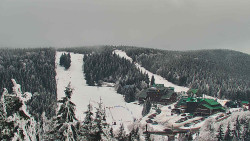 Panorama Jižní svahy, Hotel, Nástup 