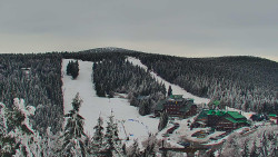 Panorama Jižní svahy, Hotel, Nástup 