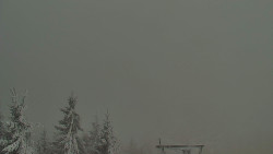 Panorama Jižní svahy, Hotel, Nástup 