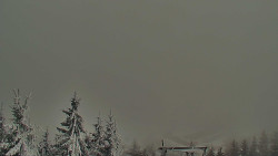 Panorama Jižní svahy, Hotel, Nástup