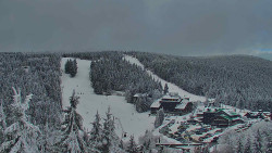 Panorama Jižní svahy, Hotel, Nástup 