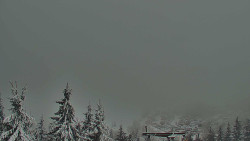 Panorama Jižní svahy, Hotel, Nástup 