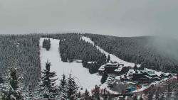 Panorama Jižní svahy, Hotel, Nástup 