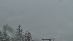 Panorama Jižní svahy, Hotel, Nástup 