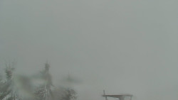 Panorama Jižní svahy, Hotel, Nástup 