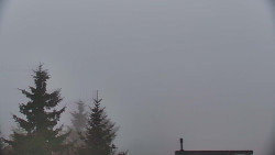 Panorama Jižní svahy, Hotel, Nástup 
