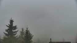 Panorama Jižní svahy, Hotel, Nástup 