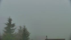 Panorama Jižní svahy, Hotel, Nástup 