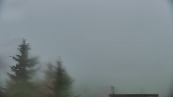 Panorama Jižní svahy, Hotel, Nástup 