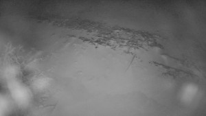 Červenohorské sedlo - Restaurace "deštník" - dojezd žlutá sjezdovka - 25.12.2025 v 01:00