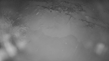 Červenohorské sedlo