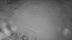 Červenohorské sedlo - Restaurace "deštník" - dojezd žlutá sjezdovka - 25.12.2025 v 05:00