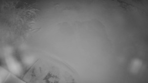 Červenohorské sedlo - Restaurace "deštník" - dojezd žlutá sjezdovka - 25.12.2025 v 05:30