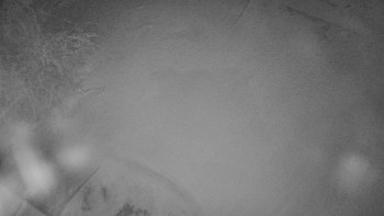 Červenohorské sedlo