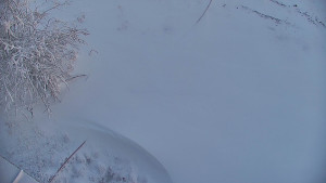 Červenohorské sedlo - Restaurace "deštník" - dojezd žlutá sjezdovka - 25.12.2025 v 10:00