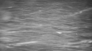 Červenohorské sedlo - Restaurace "deštník" - dojezd žlutá sjezdovka - 25.12.2025 v 18:30