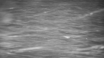 Červenohorské sedlo