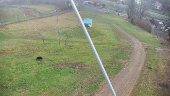 Snímek    12.11.2025 v 07:16