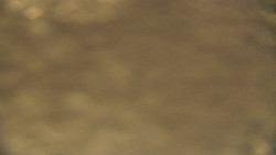 Spodní část sjezdovky skiareálu Karolinka