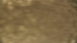 Spodní část sjezdovky skiareálu Karolinka