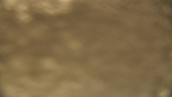 Spodní část sjezdovky skiareálu Karolinka